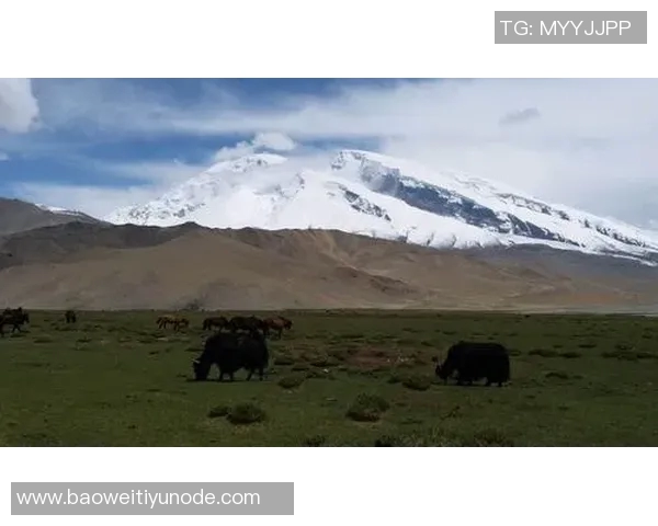 王秋明谈高原适应性问题强调自我反思与客观因素的平衡分析